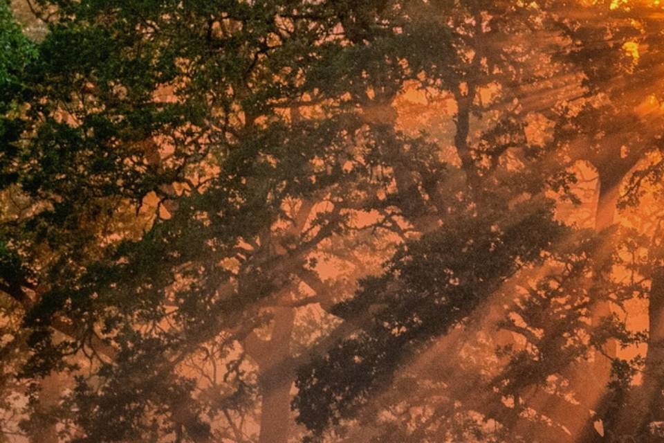 Hotel MOHI by Appellation