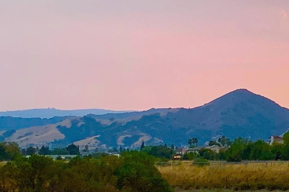 Hotel MOHI by Appellation