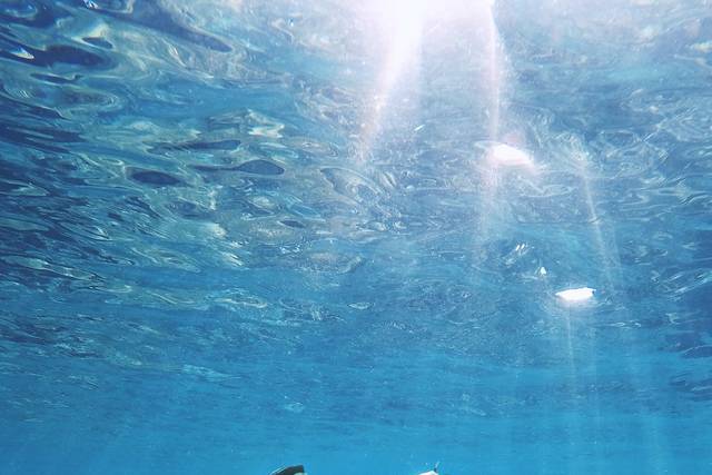 Man under blue water.jpg