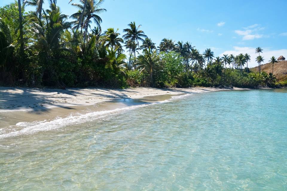 Fiji Beach.jpg