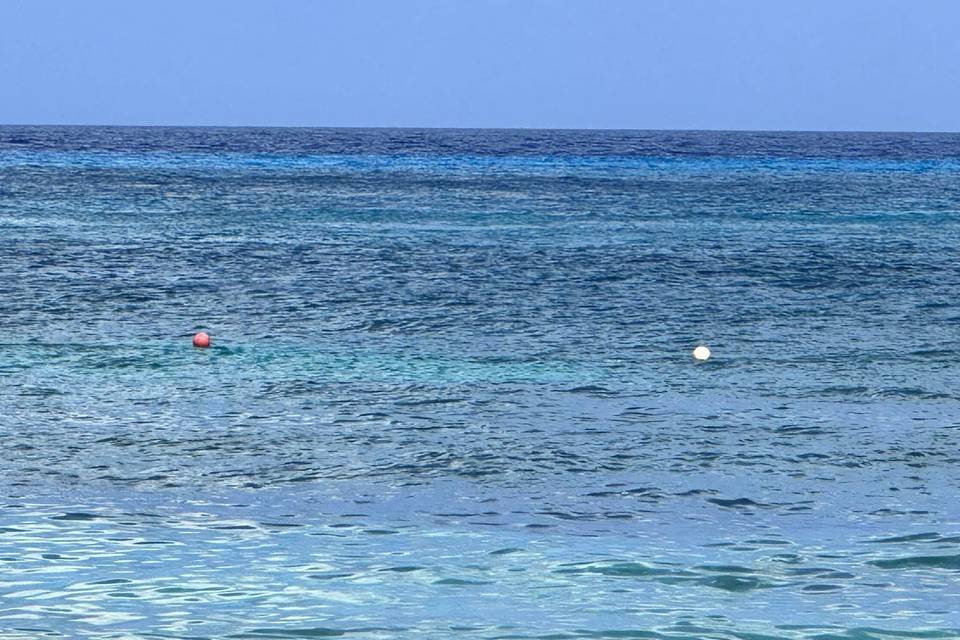 OCEAN 2.jpg