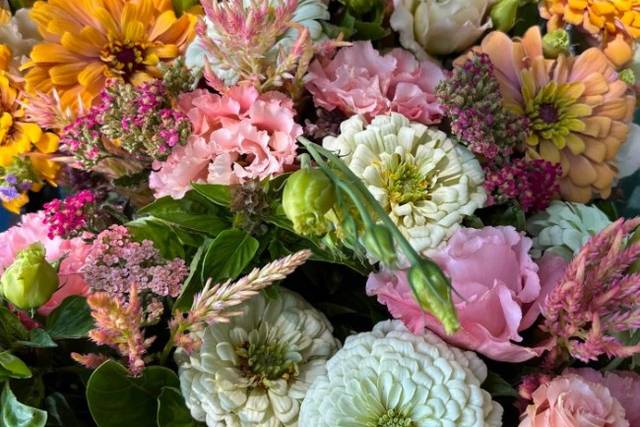 July Lisianthus