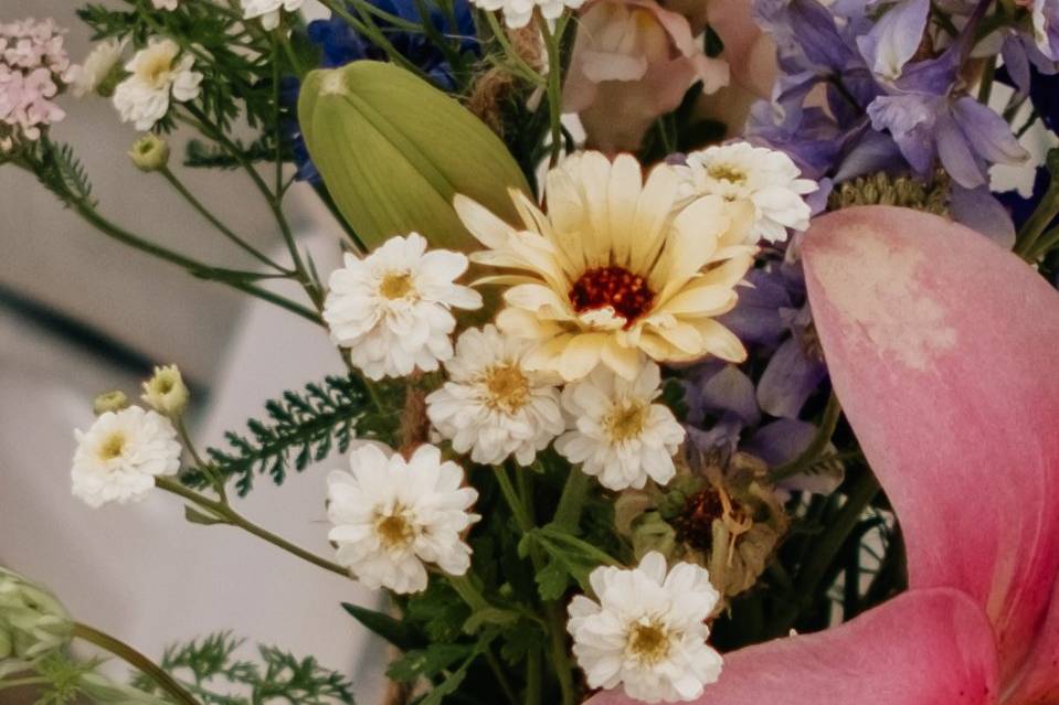 June Wedding