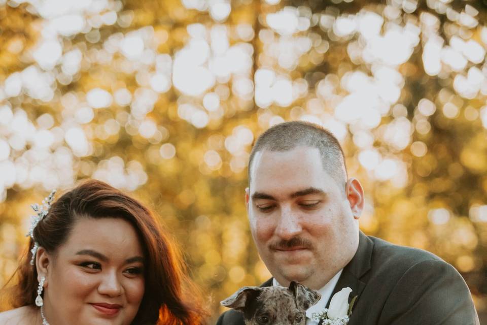 Wedding