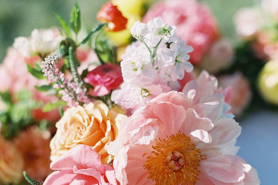 Chic To Chic Weddings