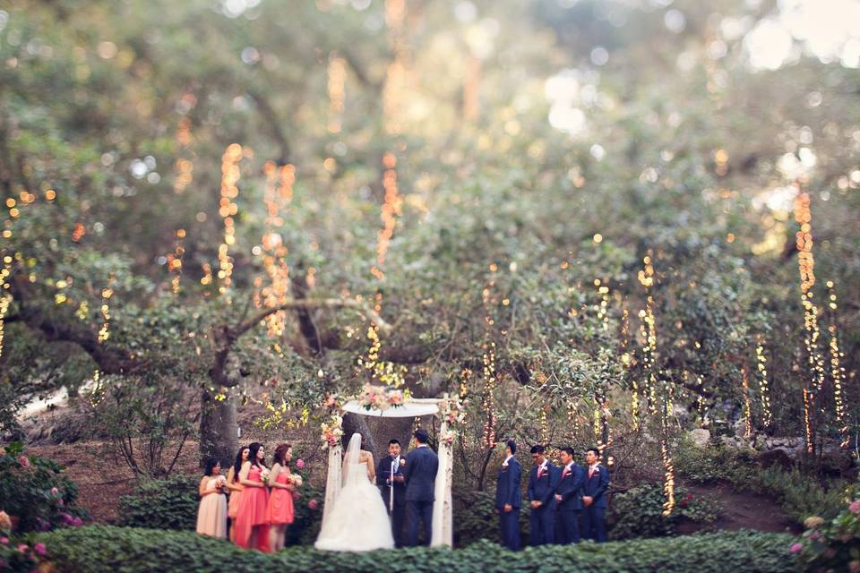 Wedding ceremony