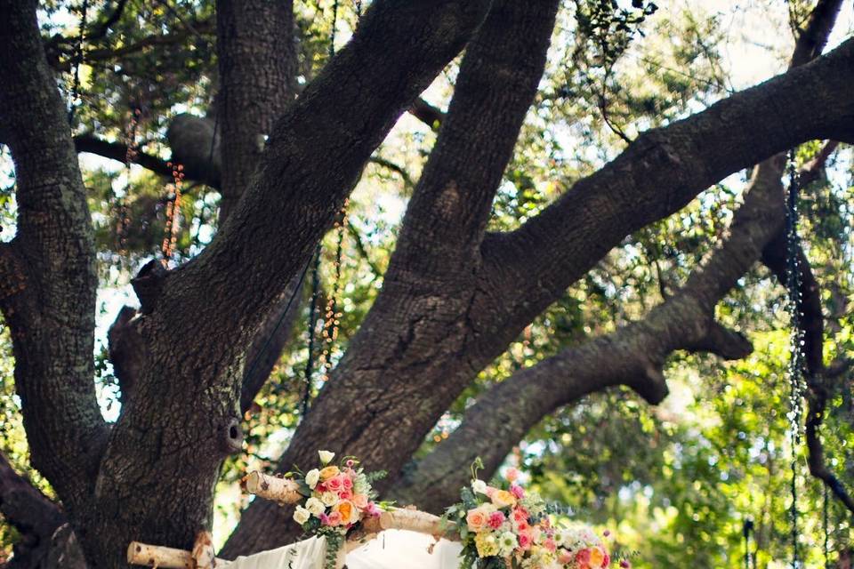 Wedding chuppah