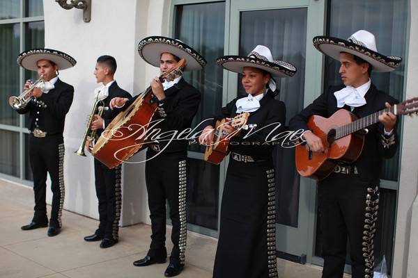 Chic To Chic Weddings