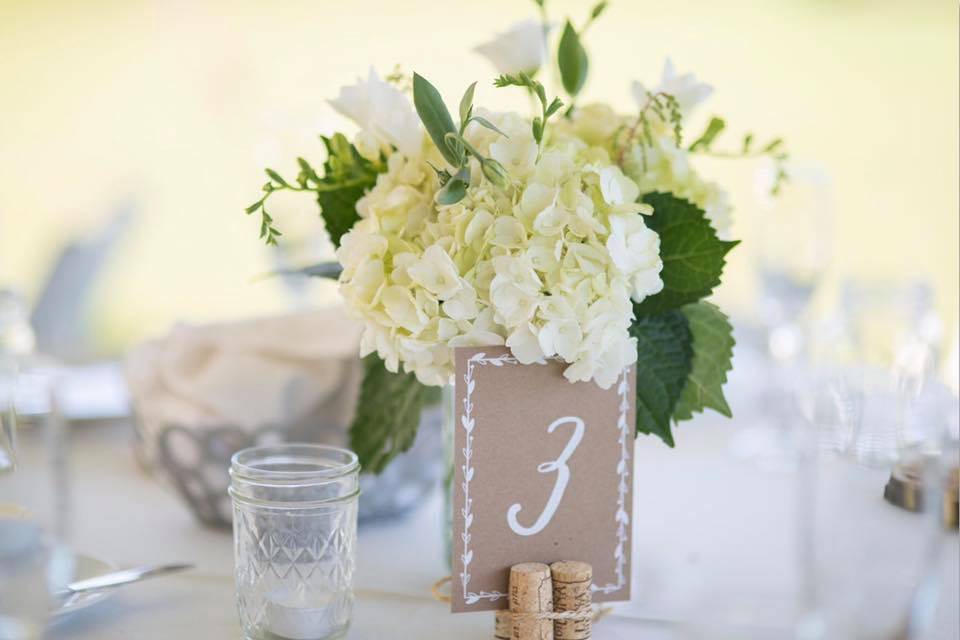 Hydrangea Centerpiece