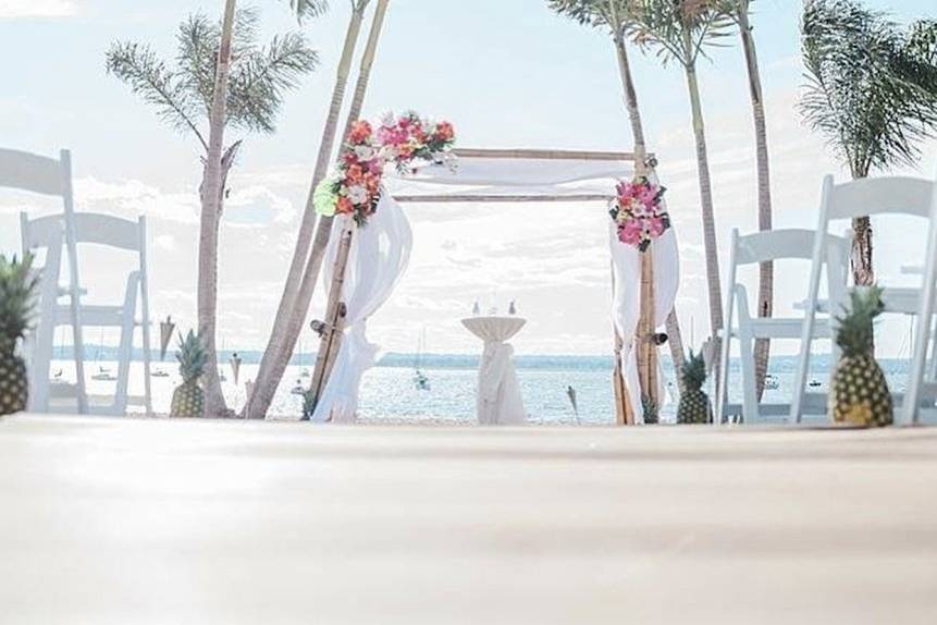 Tropical Arch/Chuppah