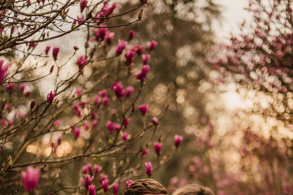 Spring BloomEngagement Session
