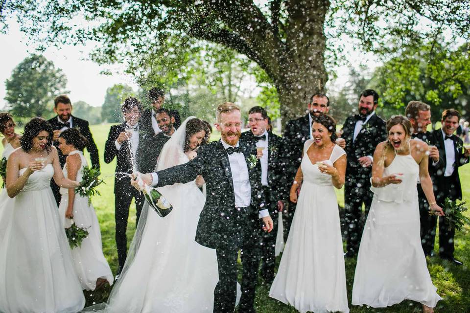 Champagne Wedding Party Toast