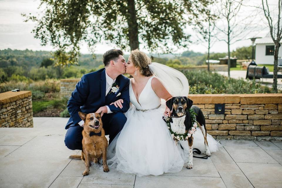 Bride & Groom with Their Dogs