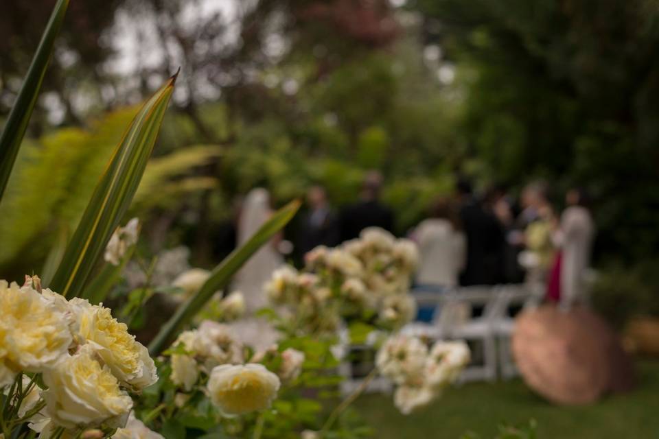 Ceremony and roses