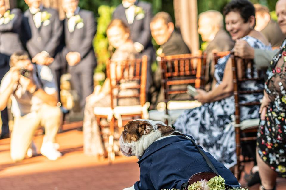 Bev Michel Photography