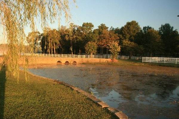 Antebellum Weddings at Oak Island