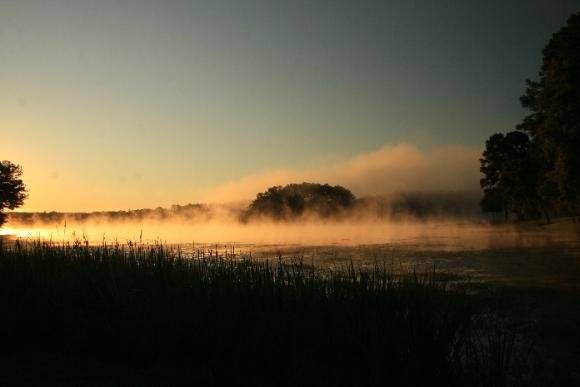 Antebellum Weddings at Oak Island