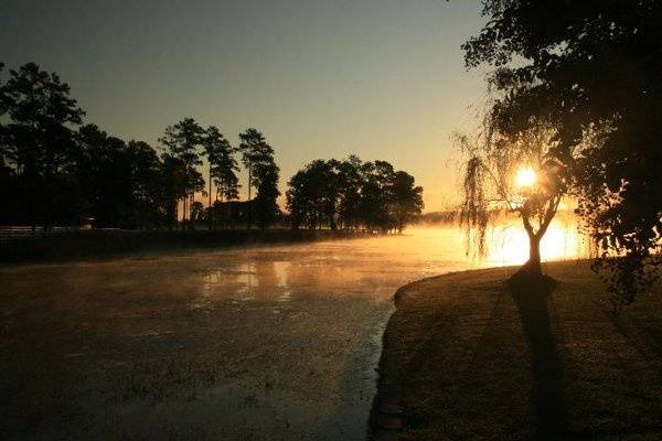 Antebellum Weddings at Oak Island