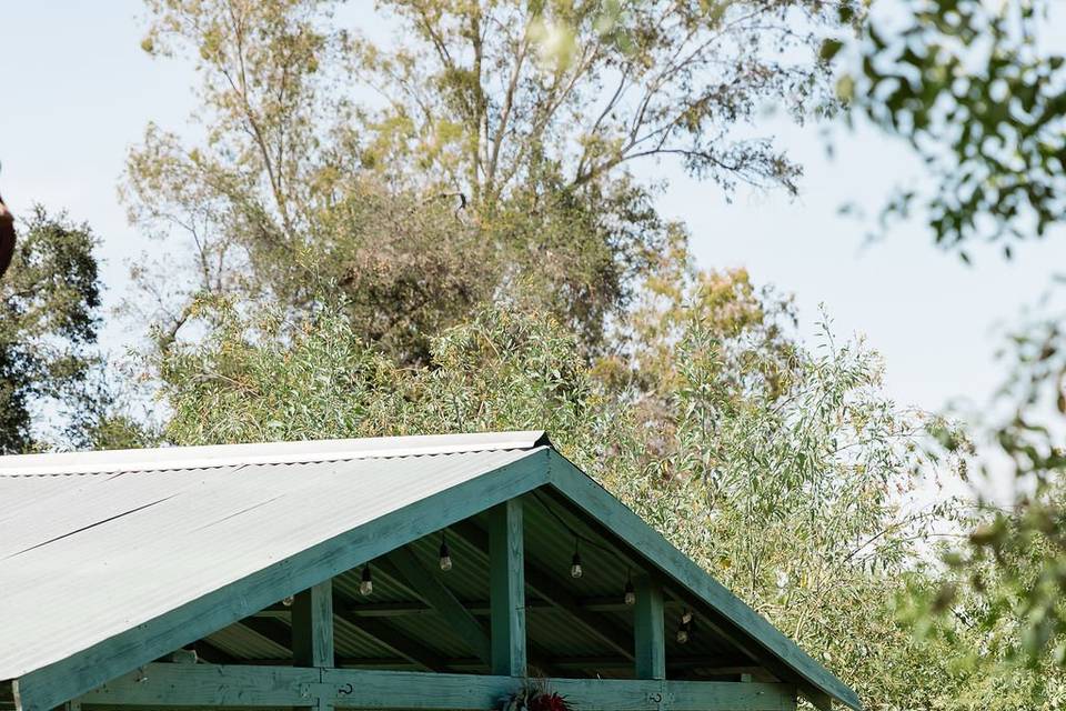 Charlotte & Jason Wedding