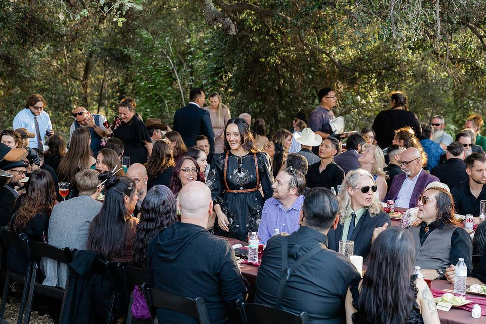 Reception Dinner