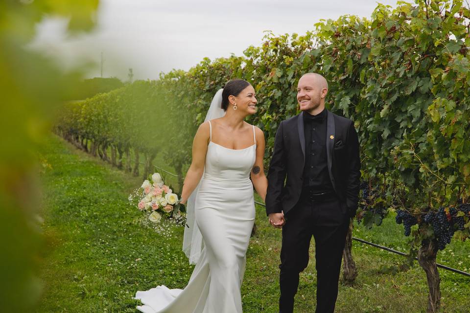 Newport vineyards