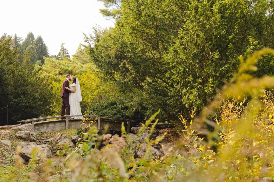 Arnold arboretum