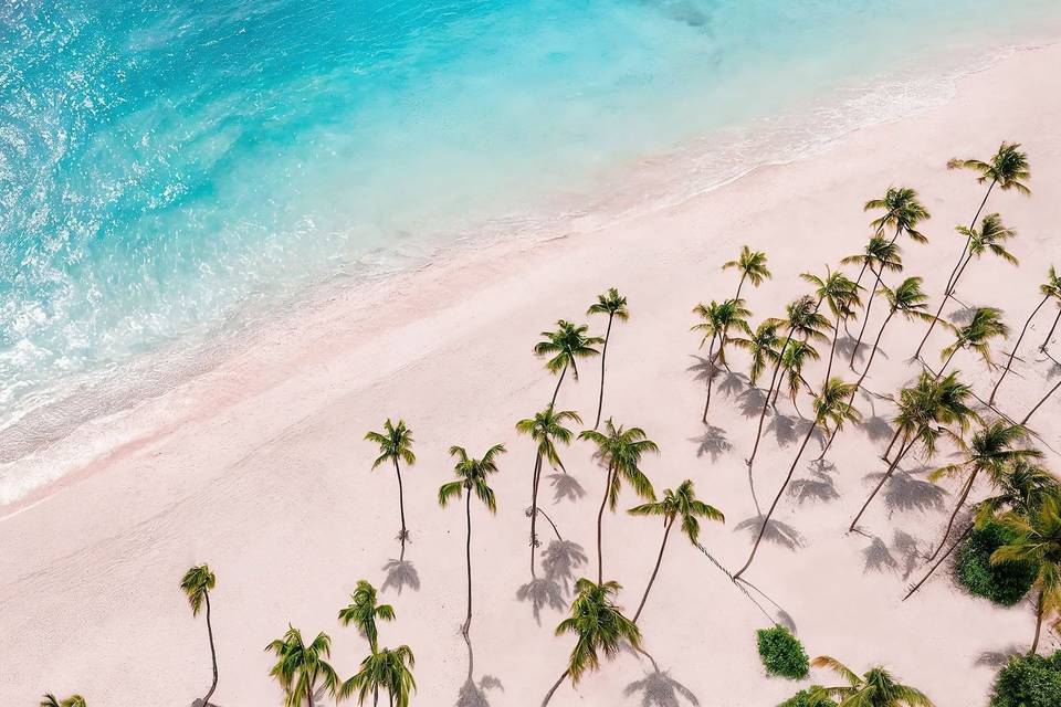 Hyatt Vivid Punta Cana
