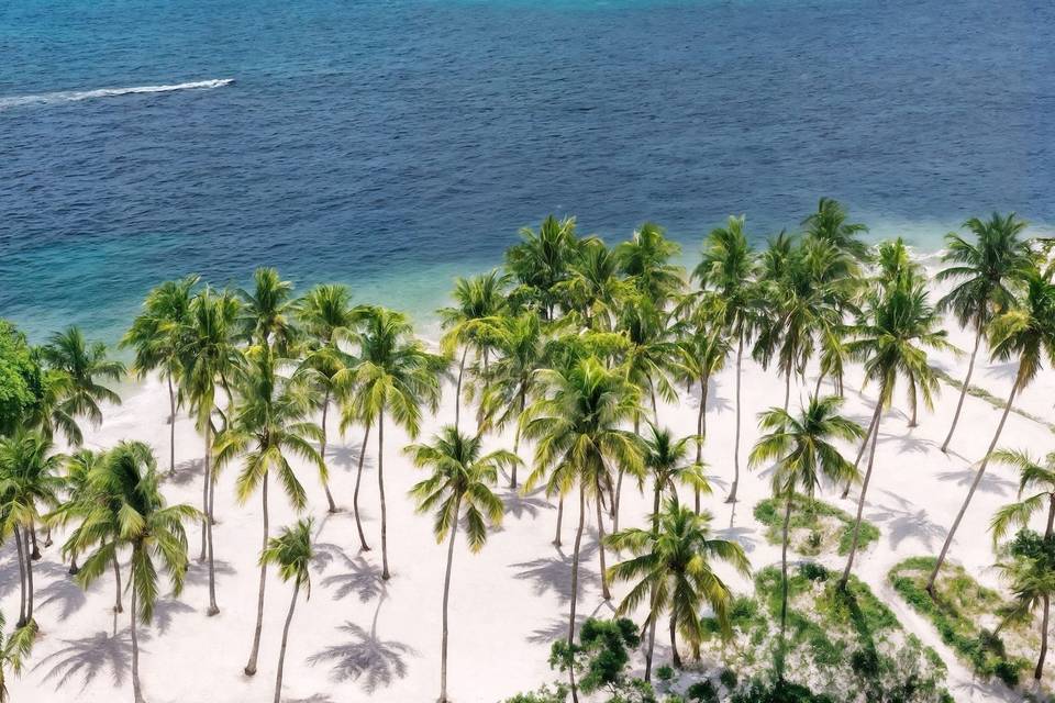 Hyatt Vivid Punta Cana