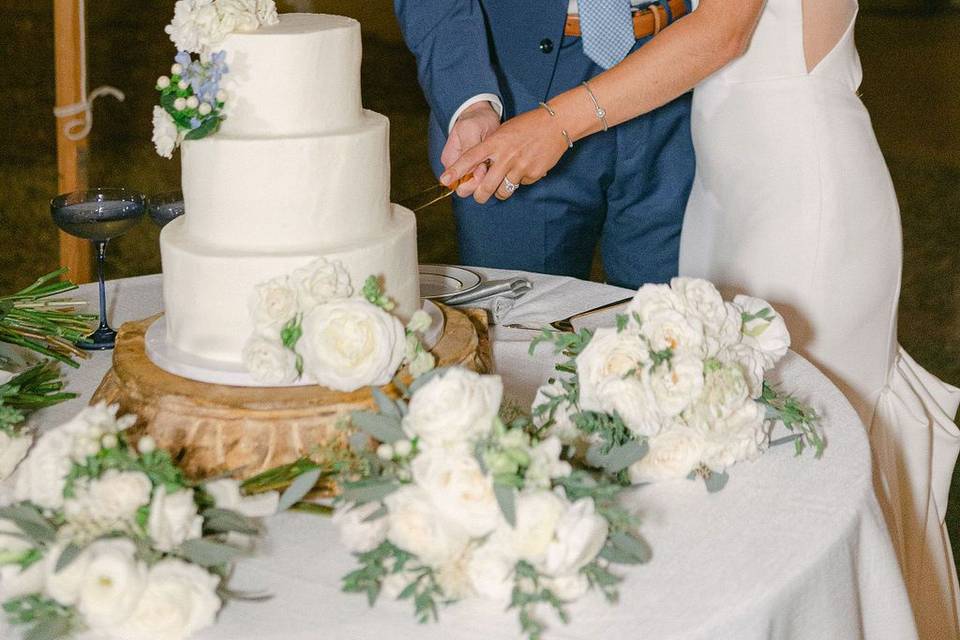 Cake Cutting