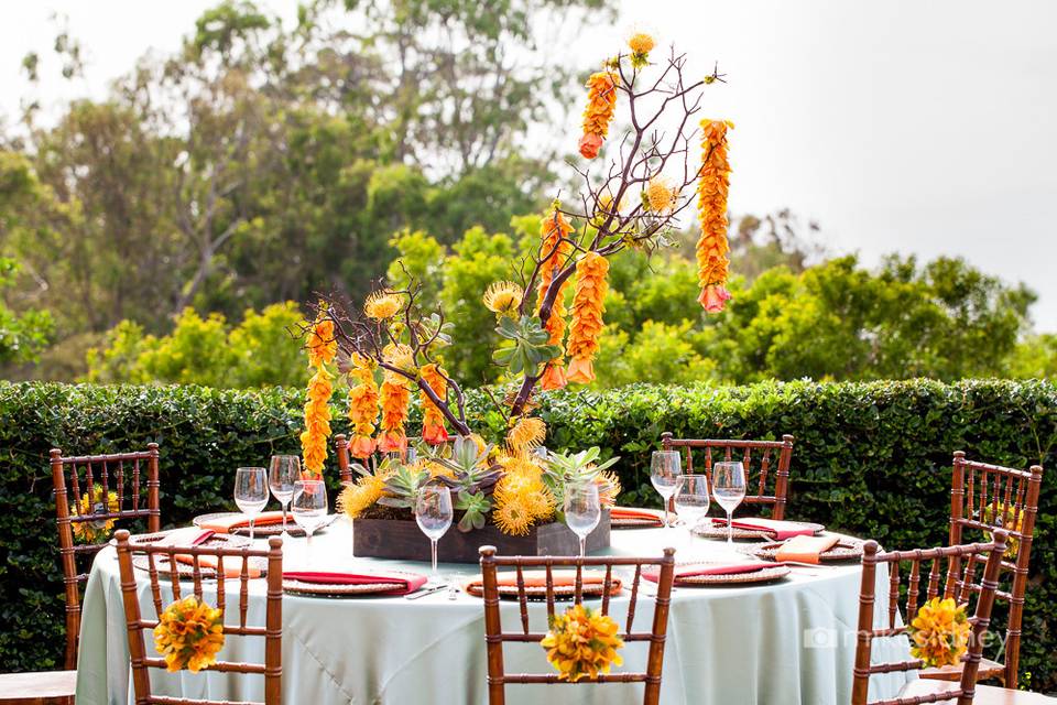 Table set-up