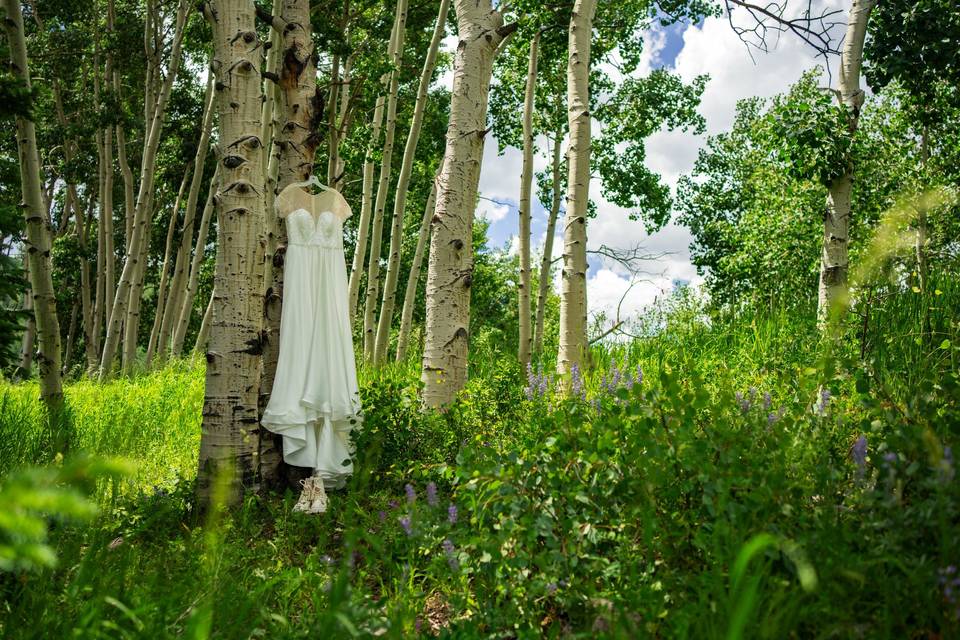 Us & The Trees