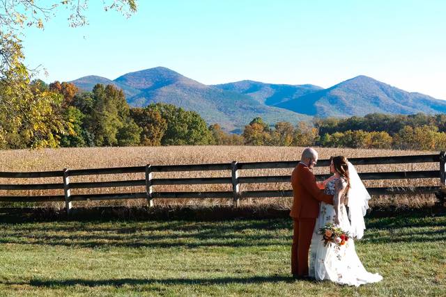 Zhanna Wedding Films