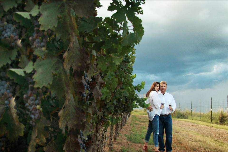 Flying Leap's vineyards provide a beautiful backdrop for wedding photos. The vines are meticulously maintained year round, and the views of the surrounding mountains and countryside are truly spectacular.