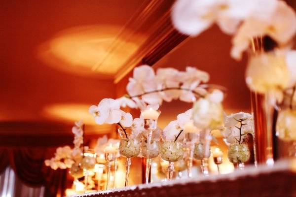 Ambiance Luxe Wedding Designs