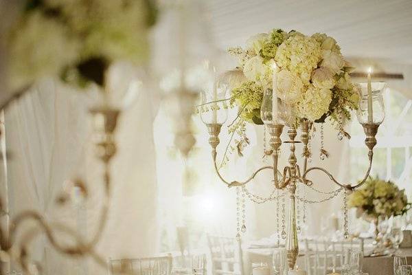 Ambiance Luxe Wedding Designs