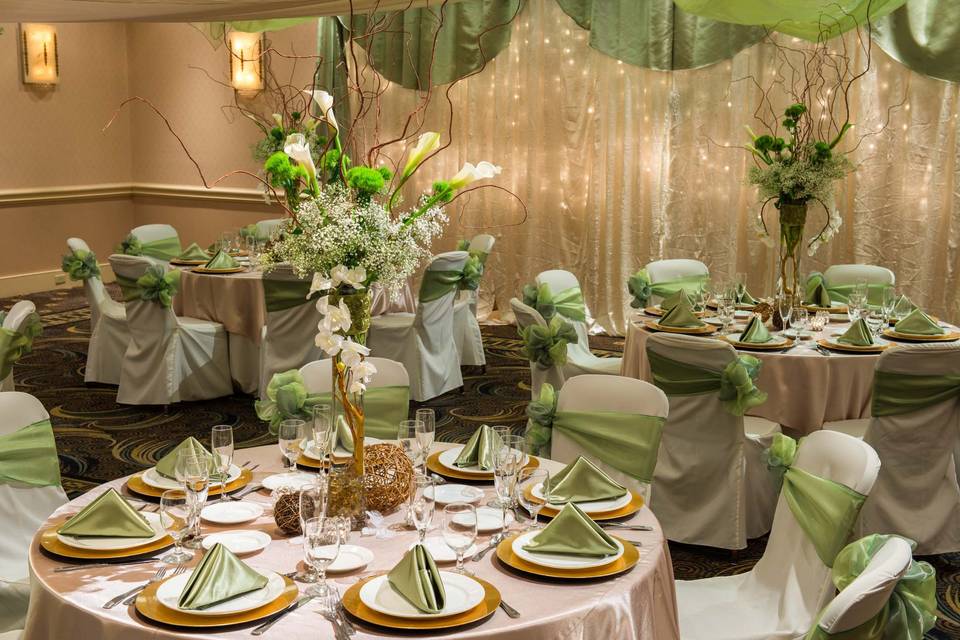 Green and white theme