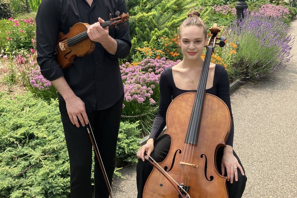 Strings section