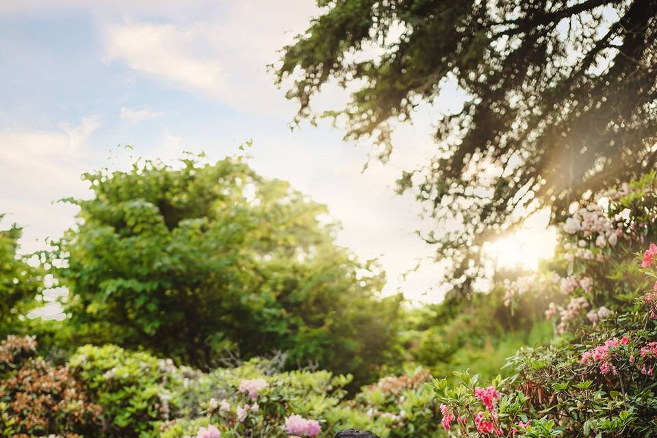 Engagement session