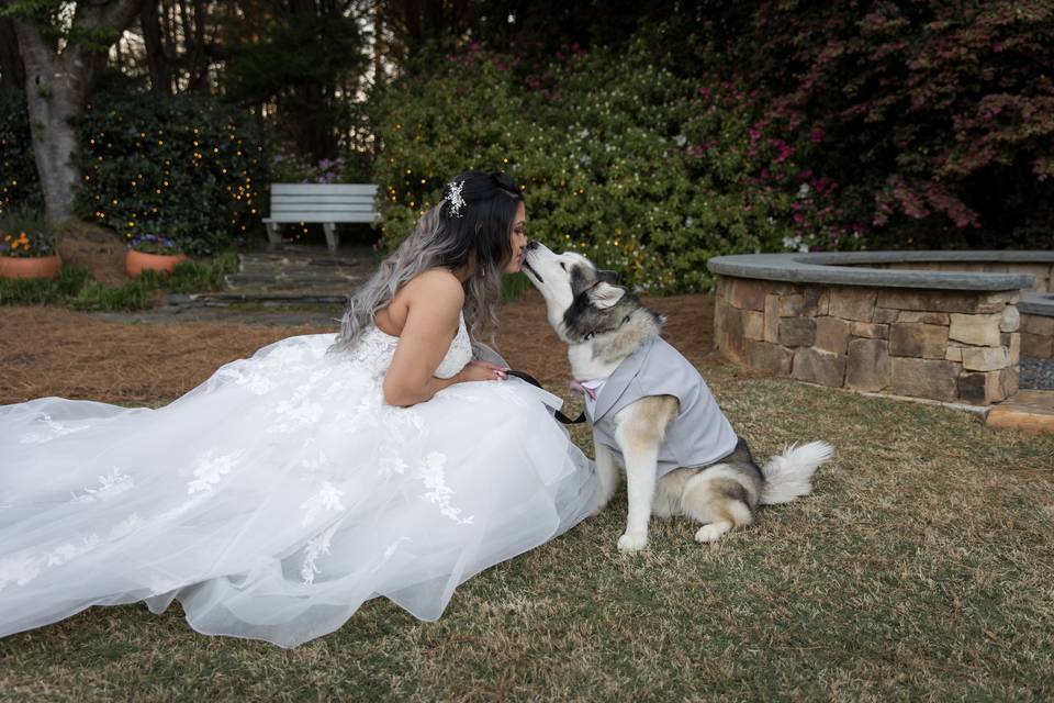 Paw of Honor