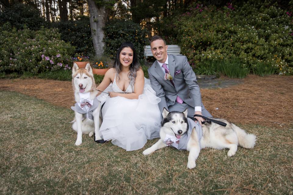 Paw of Honor