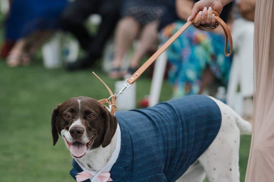 Best Man...Dog