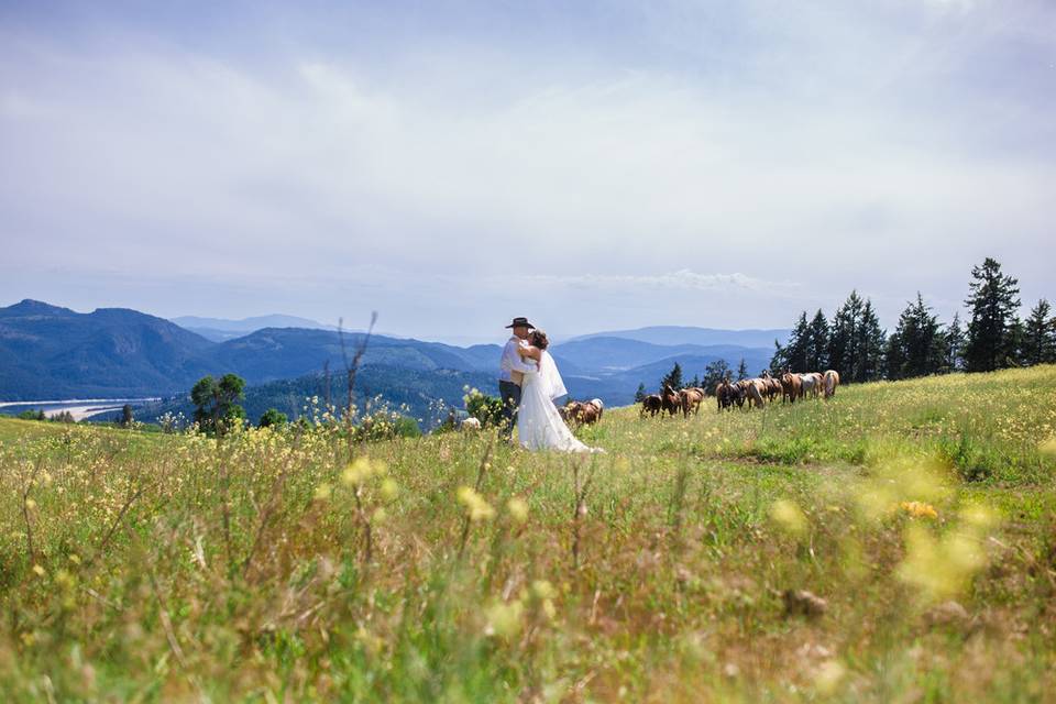 Heather Norman Photography