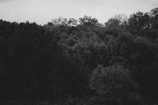 Blue jar photography