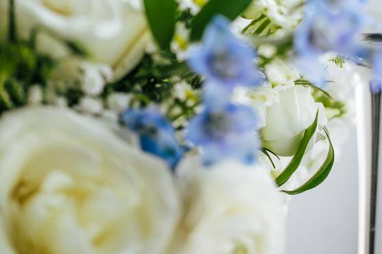 Blue jar photography