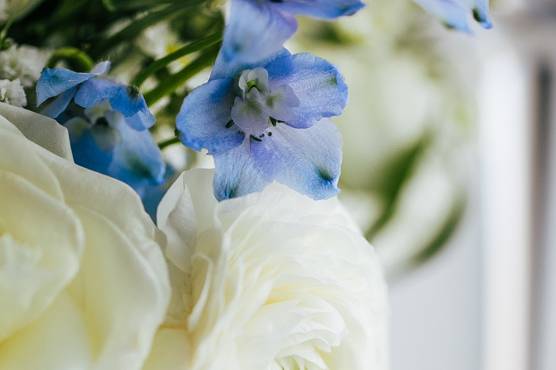 Blue jar photography