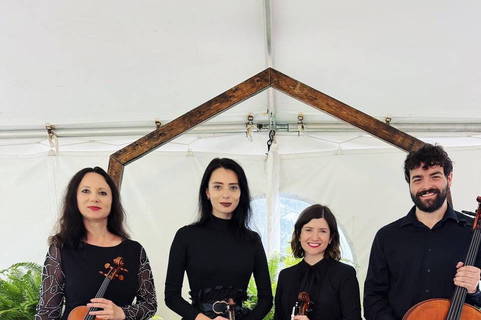 Viva La Vida String Quartet