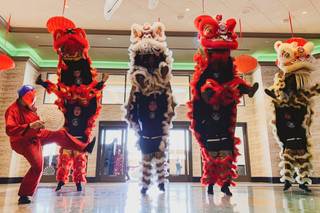 Ane Thanh Lion Dance Troupe