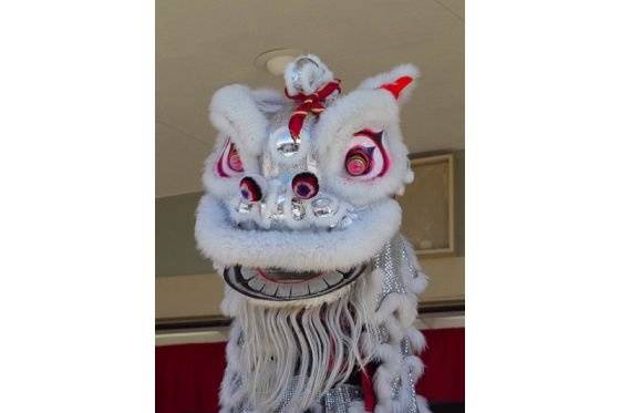 Ane Thanh Lion Dance Troupe