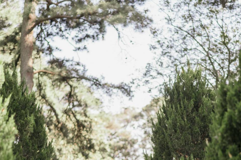 Bride & Groom Portraits