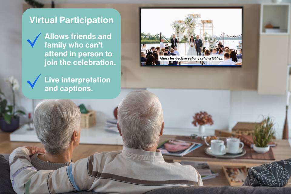 Virtual Participation
